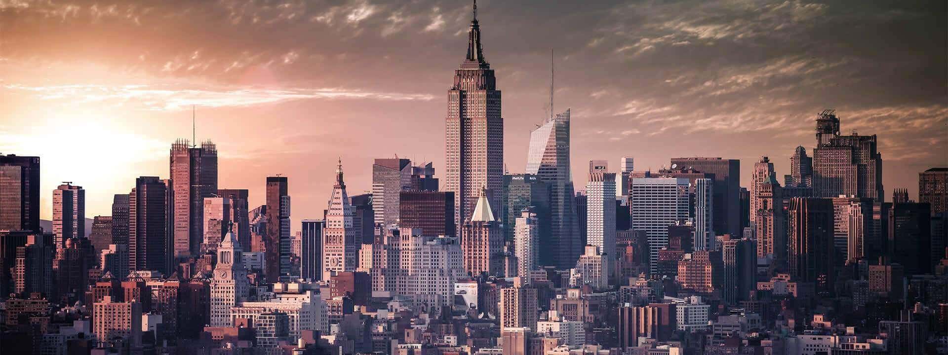 Amerika Yaz Okulları