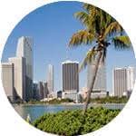 Miami dil okulu