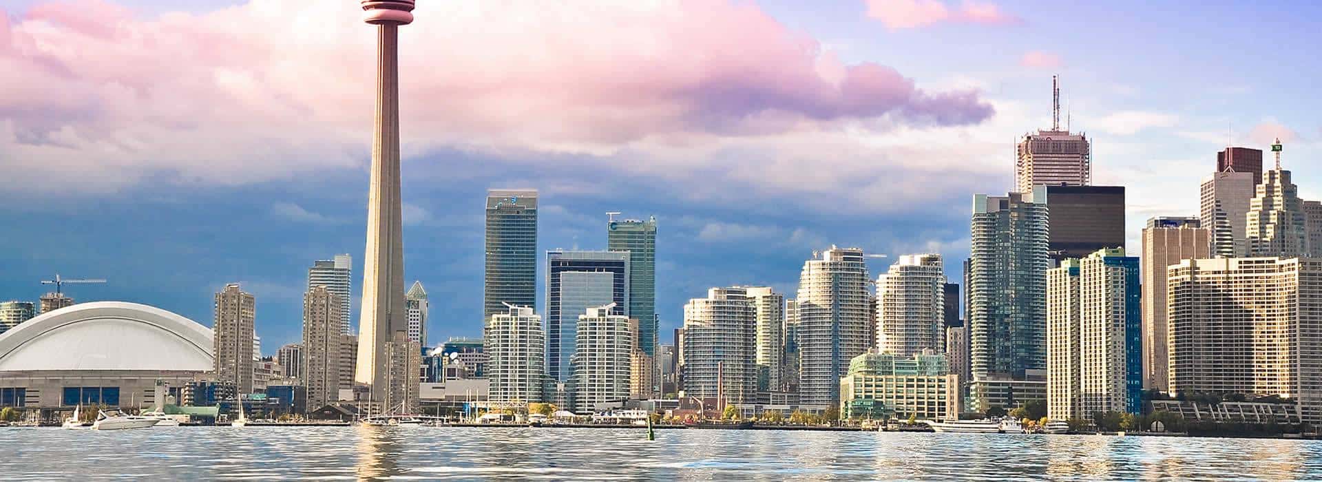 Toronto Dil Okulları