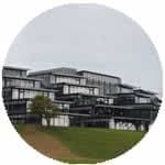 Brighton Üniversitesi